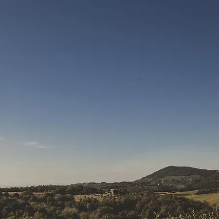 Zampugna Montefollonico