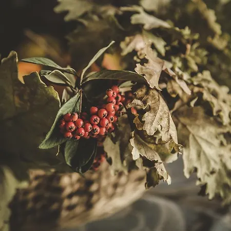 Séjour à la ferme Zampugna Montefollonico