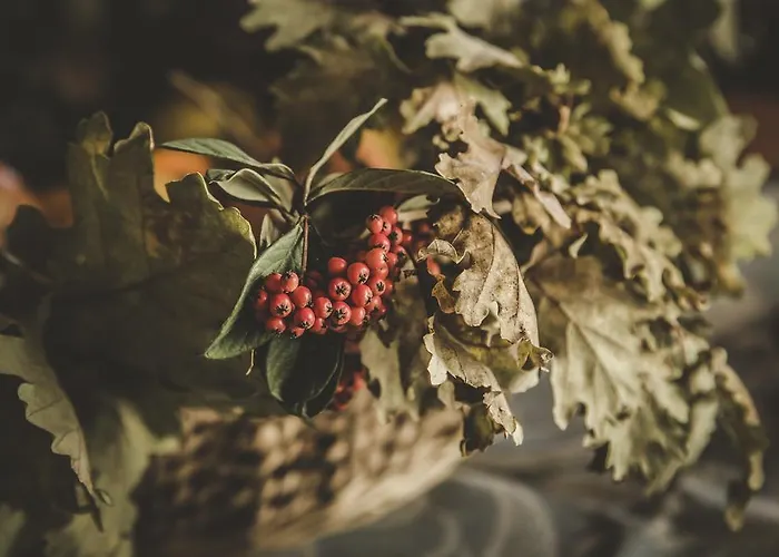 Lantgård Zampugna Montefollonico